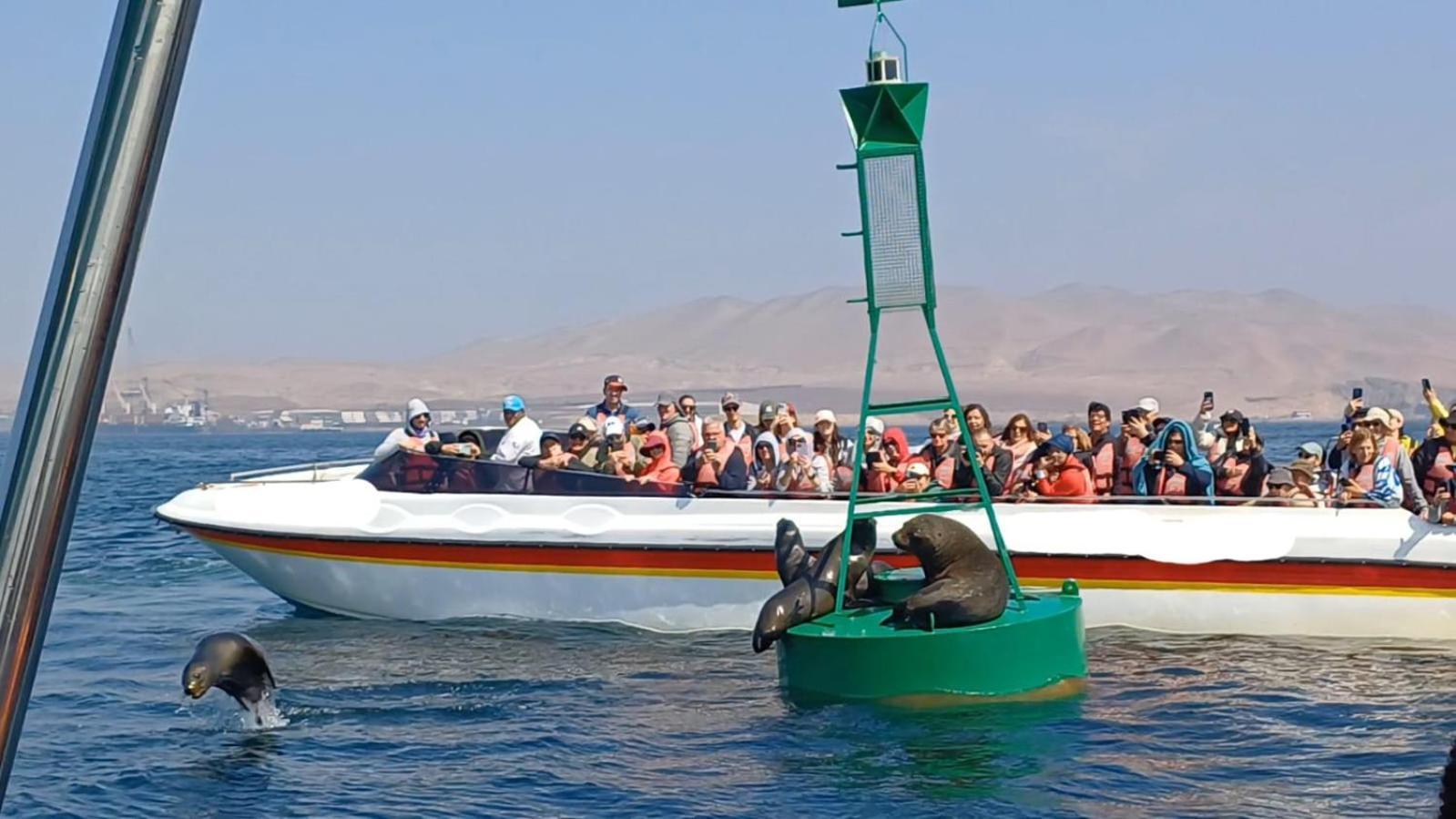 Arena Hostal Paracas Bagian luar foto